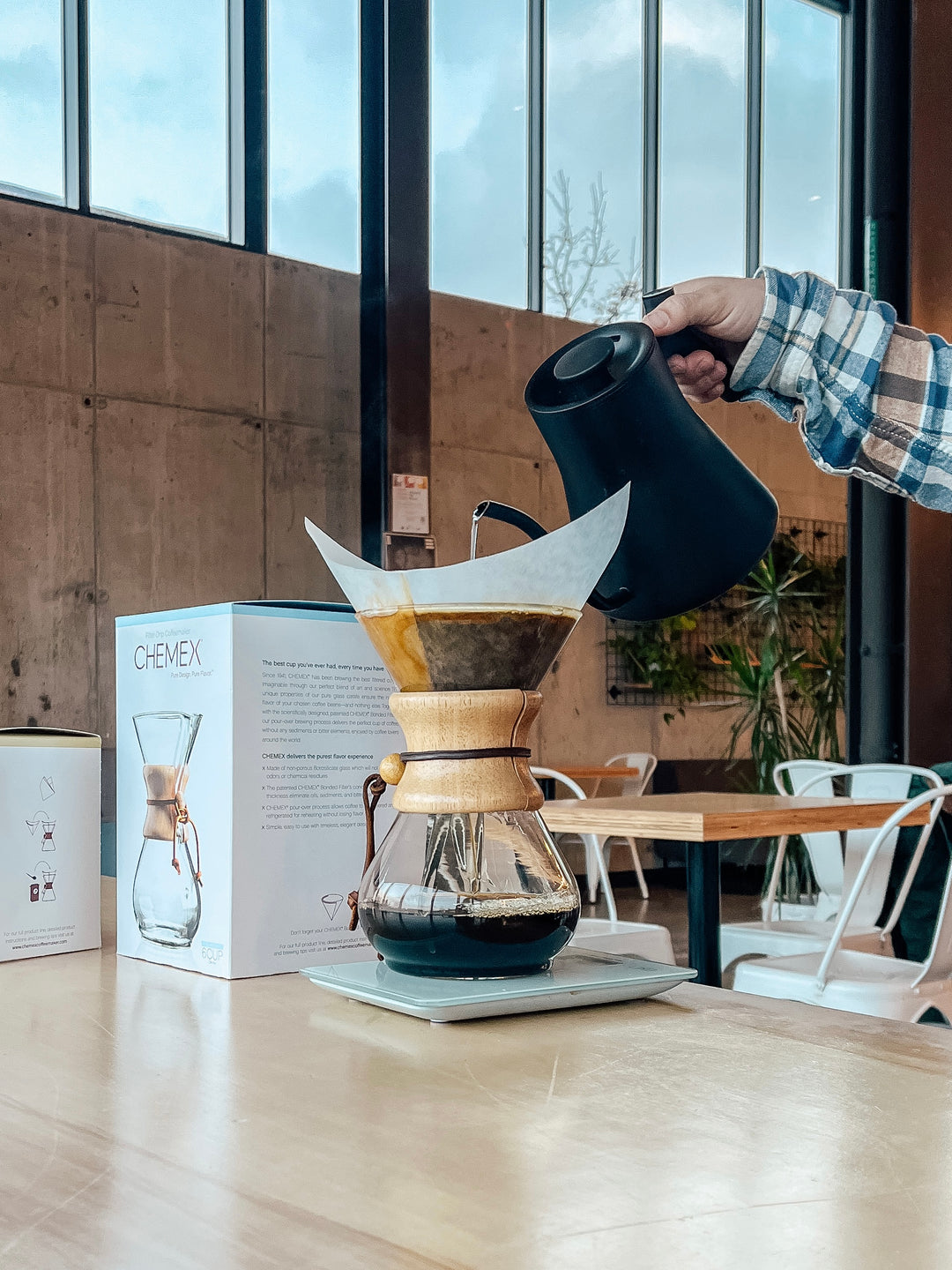 Chemex, 6-Cup Coffeemaker – Hardy Coffee Co.